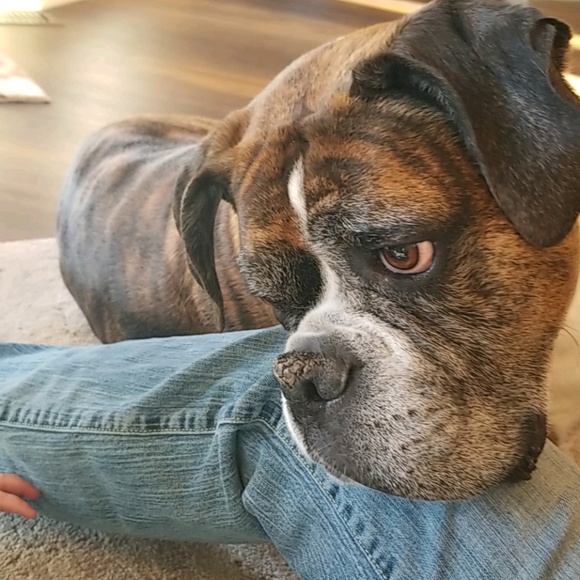 Meet your Posher, Tracy - Picture 1 of 1